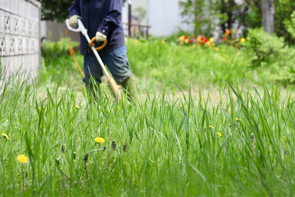 便利業・解体など