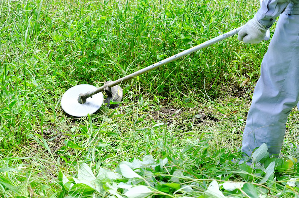 草刈り・除草作業